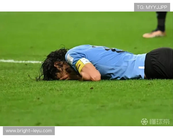 卡瓦尼与苏亚雷斯：终结集中度分化，前者更倚重禁区单点爆破